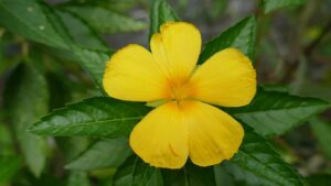 G388ce270d516774ba2b09ec30ad9f8efa93de92dbb115e11695e724b51c67ee6c95485078f9e908800798dbda9683edfb3dcffc1ac51781550d1eae8a31c4448 640